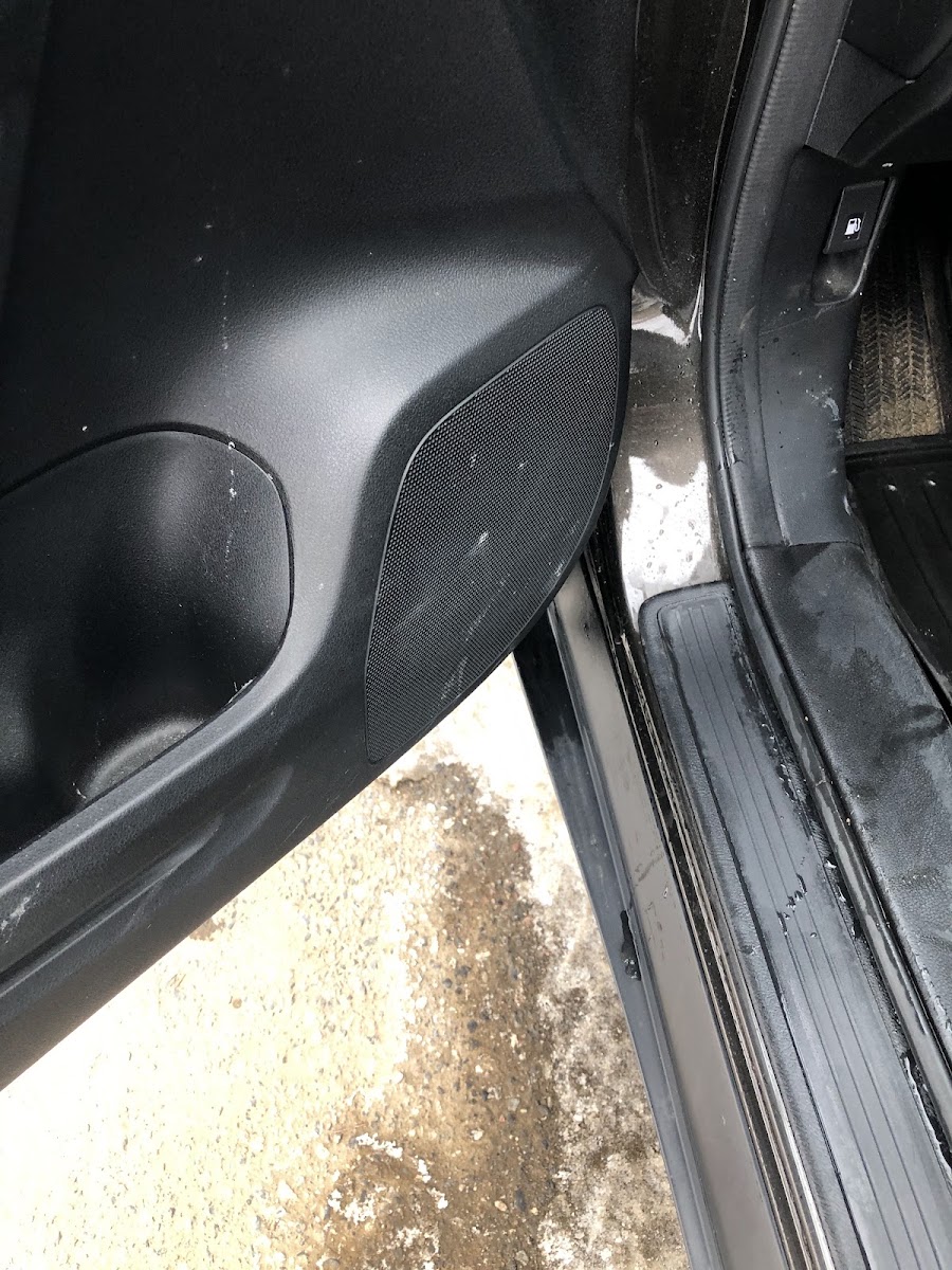 Road salt crust on an interior door panel and speaker — a Thunder Bay winter specialty.