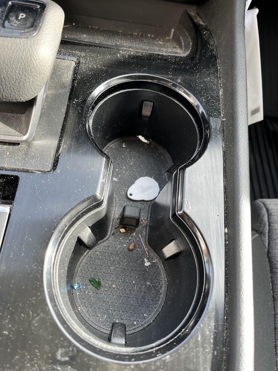 Crumbs and debris in cup holders before a deep interior clean.